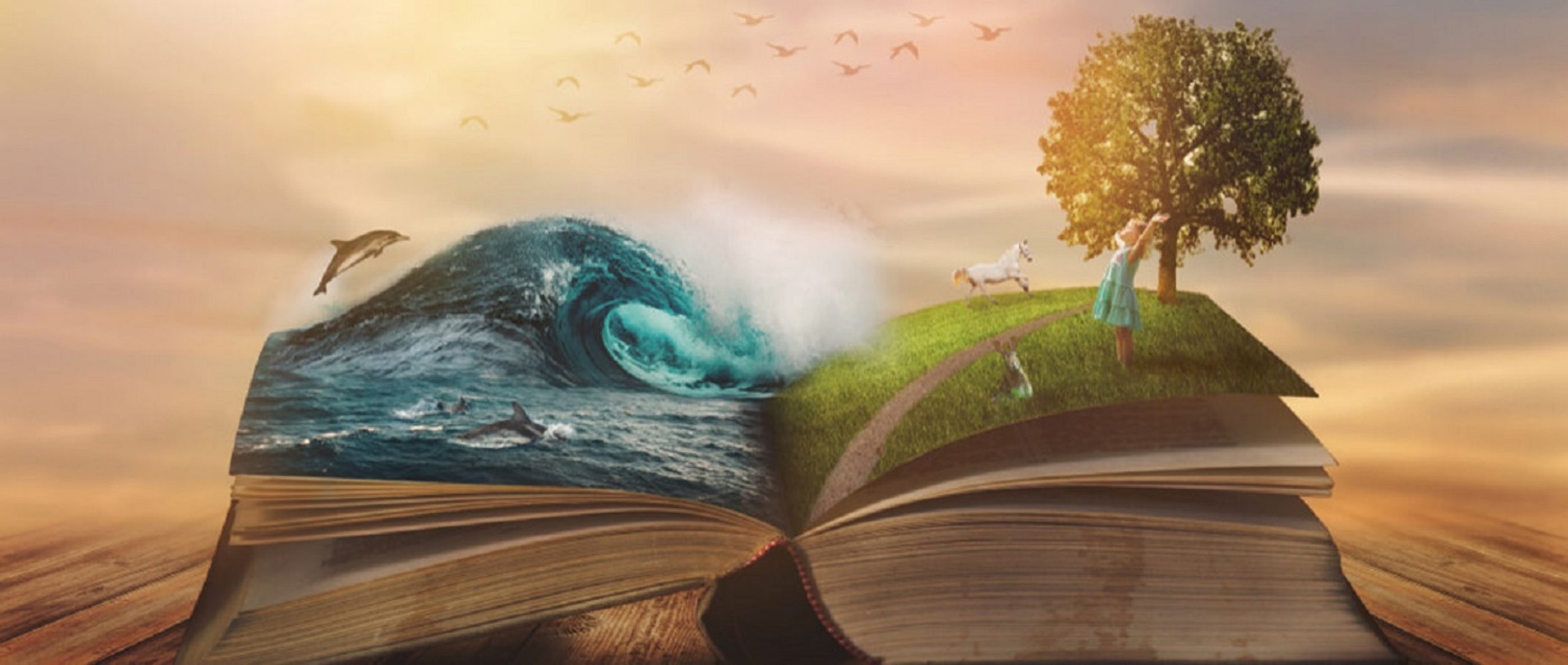 book writer